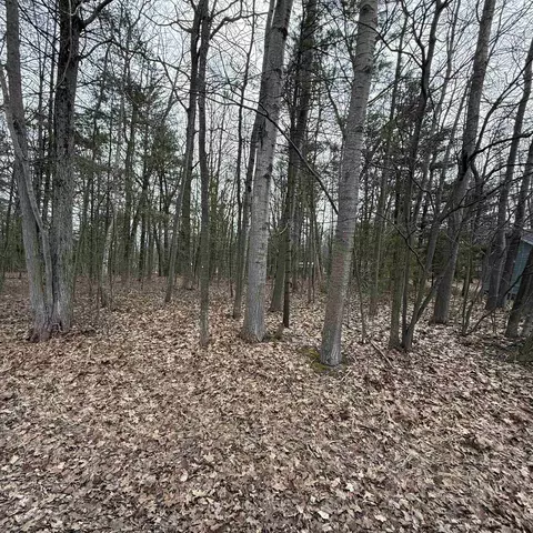 Gaston, Oscoda, MI 48750