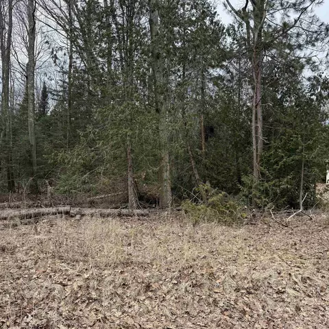 Woodlea, Oscoda, MI 48750