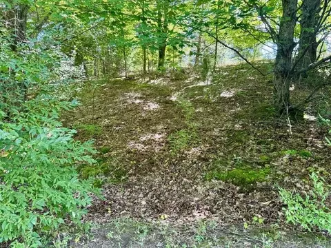 005 E Meander, Cedar, MI 49621 photo 10