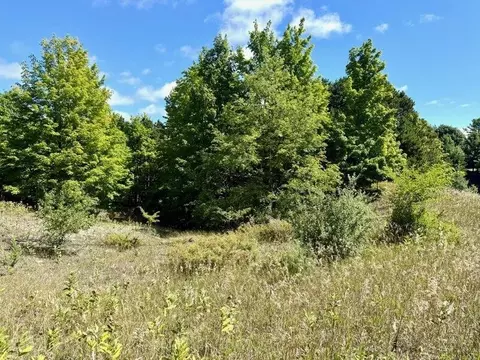 005 E Meander, Cedar, MI 49621 photo 4