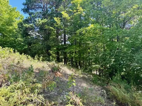 005 E Meander, Cedar, MI 49621 photo 13