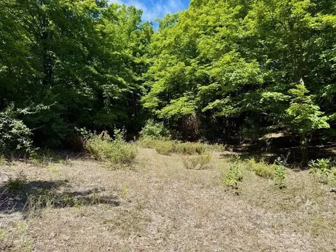 005 E Meander, Cedar, MI 49621 photo 5