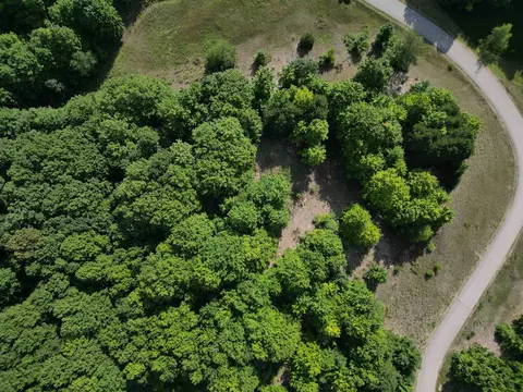 005 E Meander, Cedar, MI 49621 photo 3