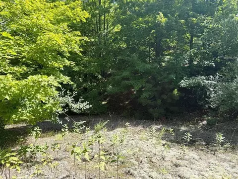 005 E Meander, Cedar, MI 49621 photo 14