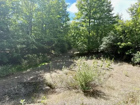 005 E Meander, Cedar, MI 49621 photo 12