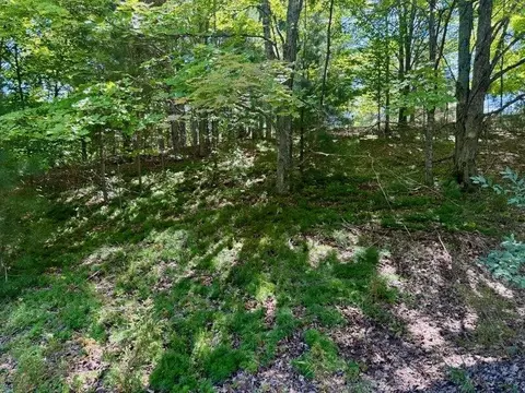 005 E Meander, Cedar, MI 49621 photo 11