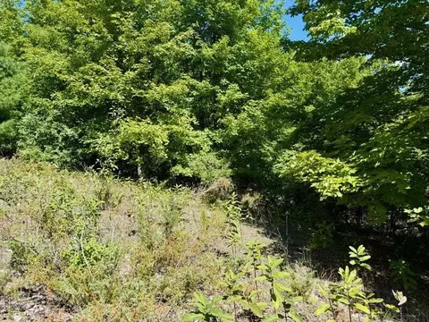 005 E Meander, Cedar, MI 49621 photo 7
