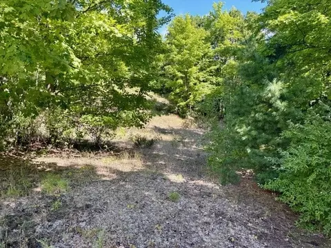 005 E Meander, Cedar, MI 49621 photo 9