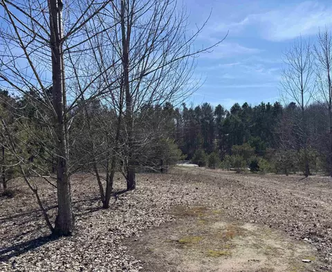 000 Case, Beulah, MI 46917 photo 6