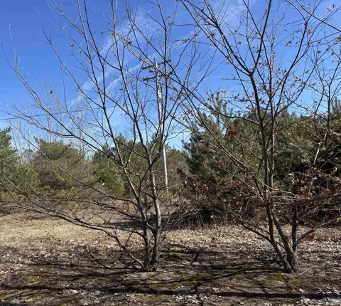 000 Case, Beulah, MI 46917 photo 5