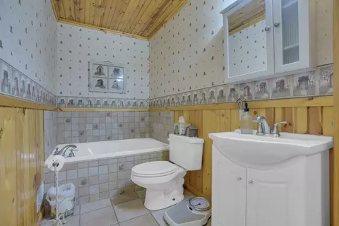 3398 E 16, Manton, MI 49663 photo 26