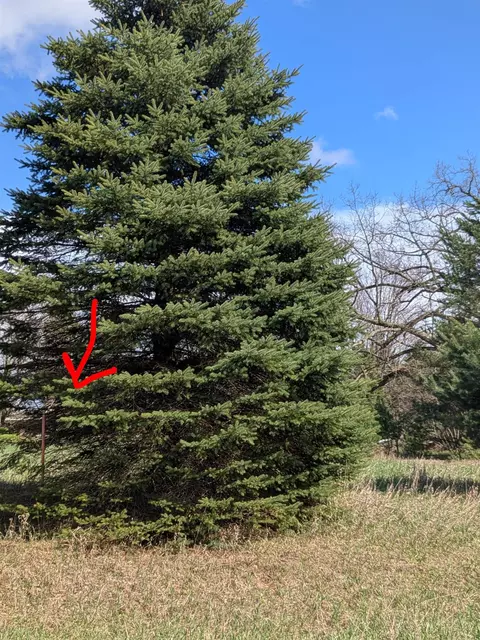 1003 Kent #LOT : 475, Lake Isabella, MI 48893