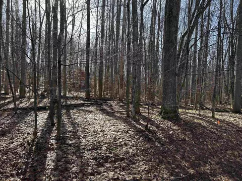 lot39 Schutzen, Bellaire, MI 49615