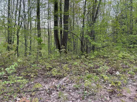 Lost Lake, Beulah, MI 49617