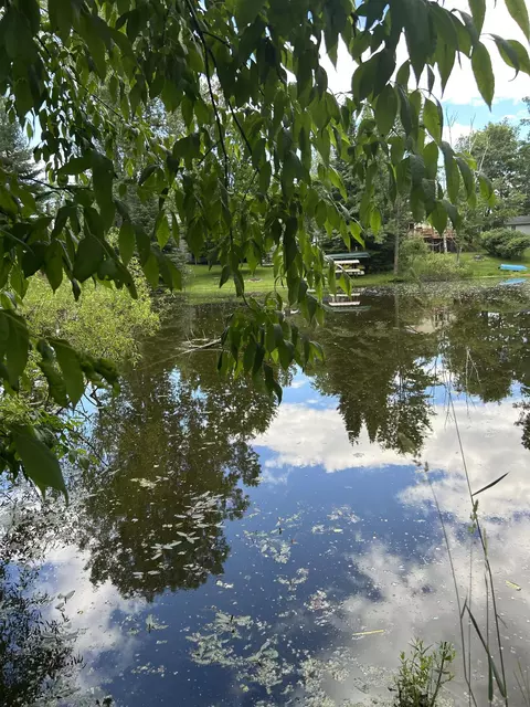 173 East State Road, West Branch, MI 48661
