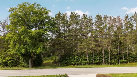 maple city LOT : B, Lake Ann, MI 49650