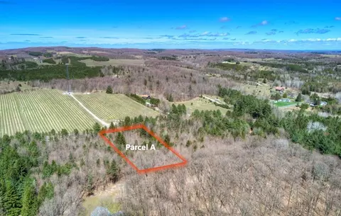 Parcel A E Bodus, Cedar, MI 49621