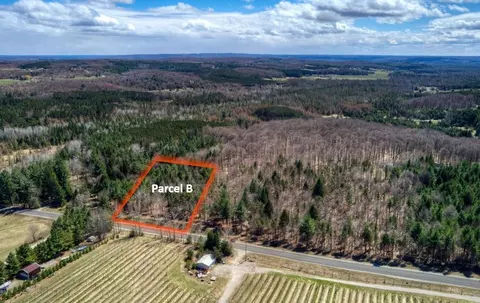 Parcel B E Bodus, Cedar, MI 49621