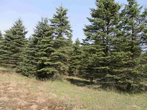 4 Spruce Holw, Fife Lake, MI 49633