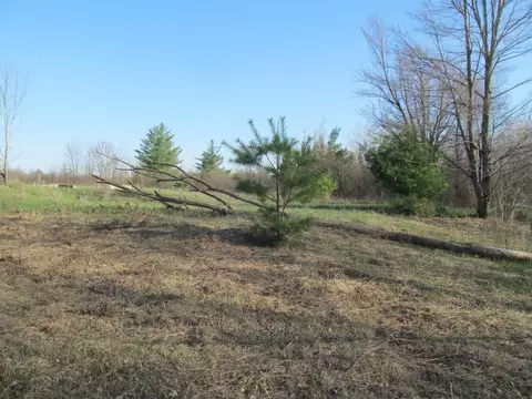 0 90th #LOT : C, Evart, MI 49631 photo 3