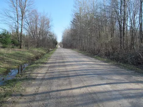 0 90th #LOT : C, Evart, MI 49631 photo 11