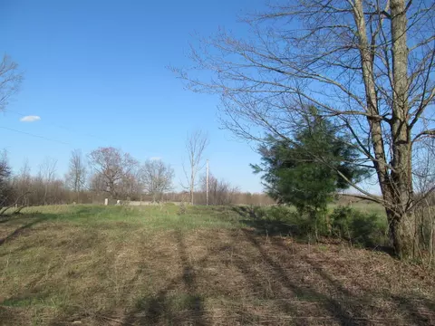 0 90th #LOT : C, Evart, MI 49631