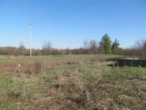 0 90th #LOT : C, Evart, MI 49631 photo 4