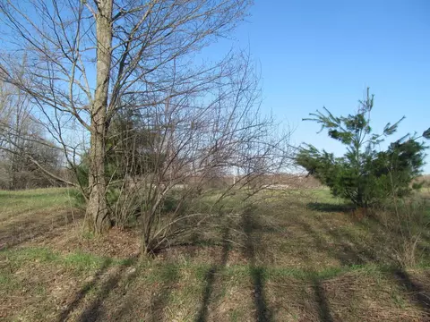 0 90th #LOT : C, Evart, MI 49631 photo 8