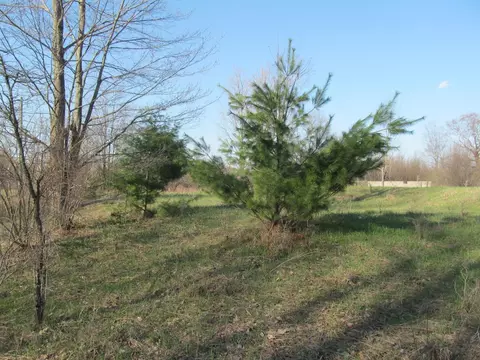 0 90th #LOT : C, Evart, MI 49631 photo 7