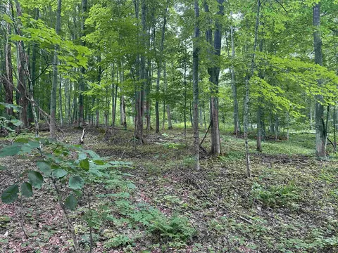 11599 S Tower #LOT : 6, Maple City, MI 49664