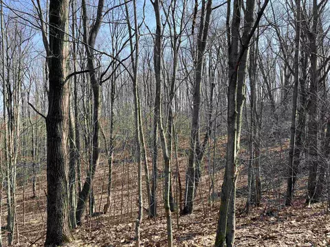 Deerfield, Boyne Falls, MI 49713