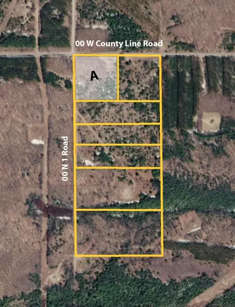 00 W County Line #PARCEL A, Buckley, MI 49620