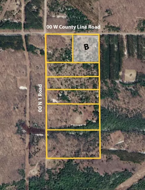 00 W County Line #PARCEL B, Buckley, MI 49620