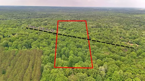 Vl 00 Cherry Hill, Fife Lake, MI 49633