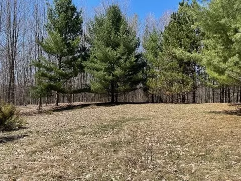 lot S D E Se Torch Lk, Bellaire, MI 49615