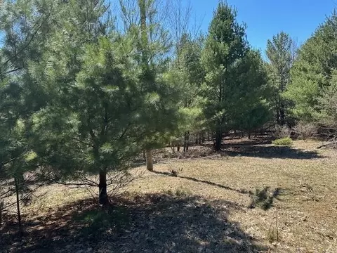 lot S B C Se Torch Lk #LOT : B & C, Bellaire, MI 49615