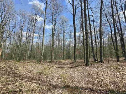 00 W 20, Mesick, MI 49668 photo 7