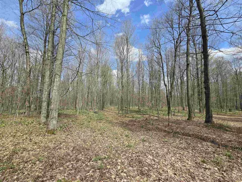 00 W 20, Mesick, MI 49668 photo 4