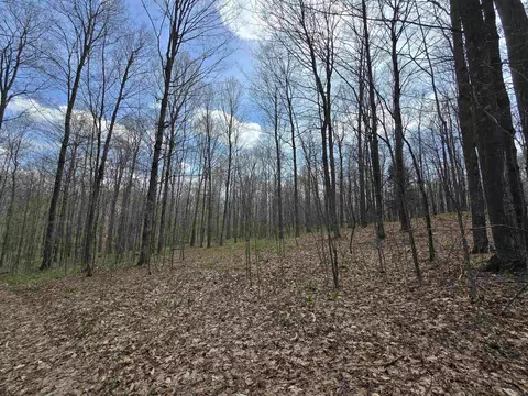00 W 20, Mesick, MI 49668 photo 6