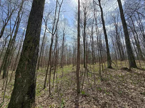 00 W 20, Mesick, MI 49668 photo 2