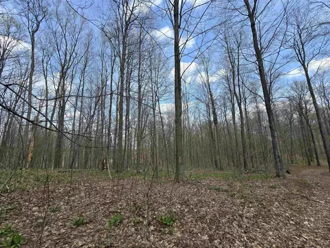 00 W 20, Mesick, MI 49668 photo 5
