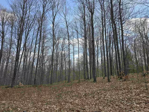 00 W 20, Mesick, MI 49668 photo 8
