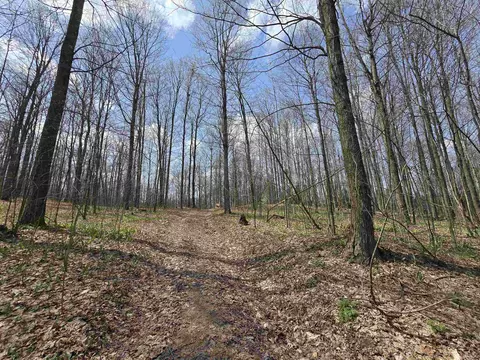 00 W 20, Mesick, MI 49668 photo 3