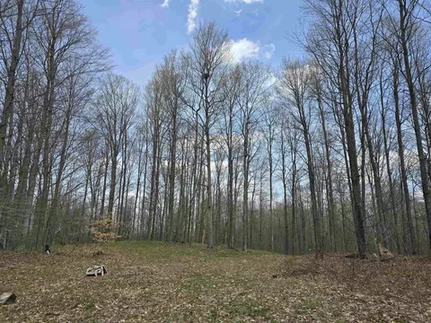 00 W 20, Mesick, MI 49668 photo 9