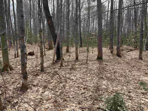 8222 NE Bass #LOT : 7, Kalkaska, MI 49646