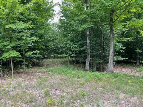 11 W Timber Vw #LOT : 11, Empire, MI 49630