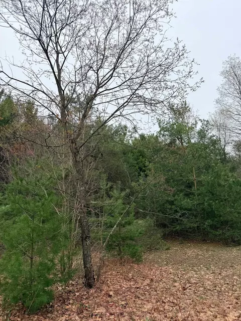 02 Woodland #PARCEL 2, Traverse City, MI 49684