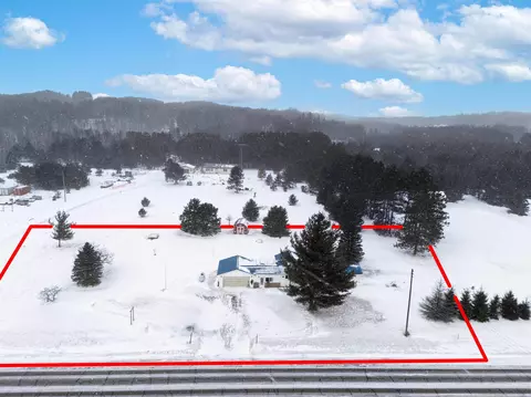 10595 E M-42, Manton, MI 49663 photo 28