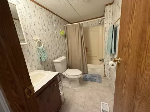 Bath - 7274 S Forward, Mcbain, MI 49657 photo 6 of 6