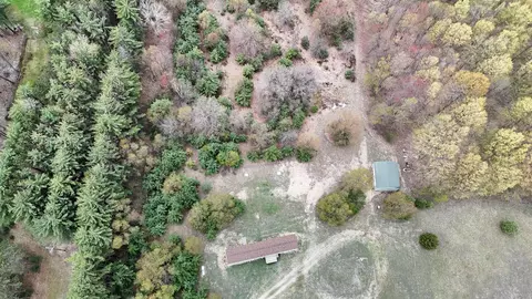 View/Area - 7274 S Forward, Mcbain, MI 49657 photo 15 of 19